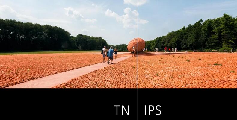 TN vs. IPS